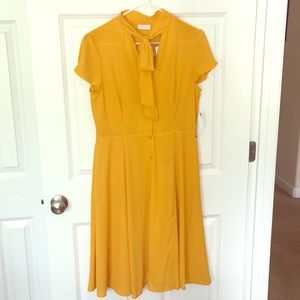 NWT New York & Company Eva Mendes ✨ - Yellow Dress